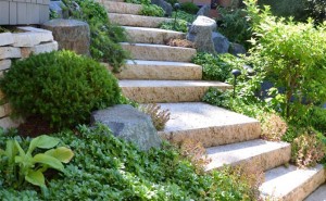 Limestone Steps