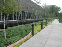 Commercial entry walk with perennial planting beds defined by decorative red bands, which are found throughout Starkey's Headquarter campus.