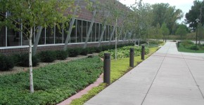 Commercial entry walk with perennial planting beds defined by decorative red bands, which are found throughout Starkey's Headquarter campus.
